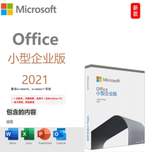 独家发布 Office 2021 LTSC 专业增强版中文永久激活版