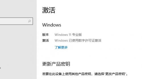 win10/win11专业版密钥2024 最新 Win11专业版密钥神key激活码